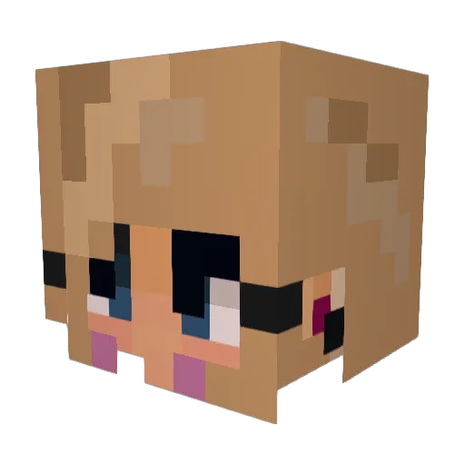 SeaVipeR0807 Minecraft avatar head, 3D render