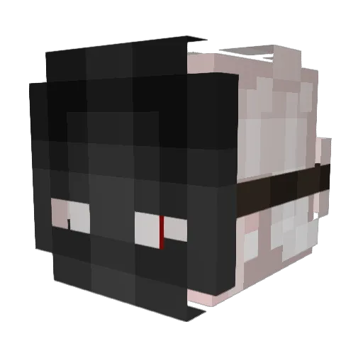 SeaXxTirtlexX Minecraft avatar head, 3D render