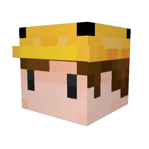 Sea_Mammal Minecraft avatar head, 3D render