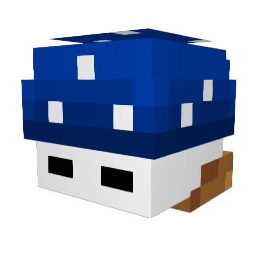 Sea_Pickle1 Minecraft avatar head, 3D render