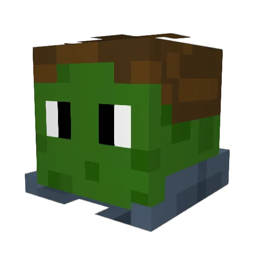 Sea_Pickle77 Minecraft avatar head, 3D render