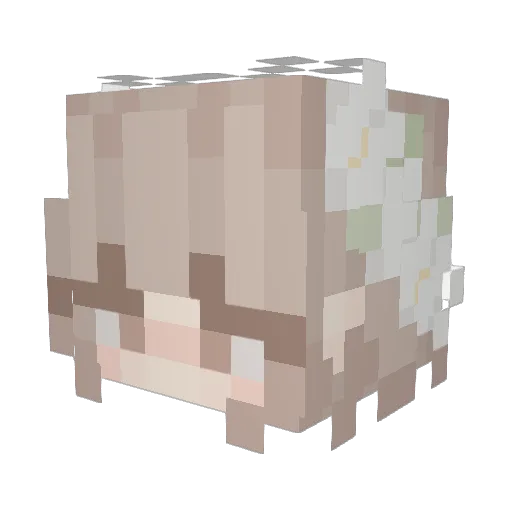 Sea_Tiger707 Minecraft avatar head, 3D render