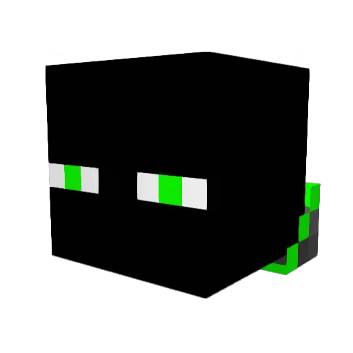 Seabass1234 Minecraft avatar head, 3D render