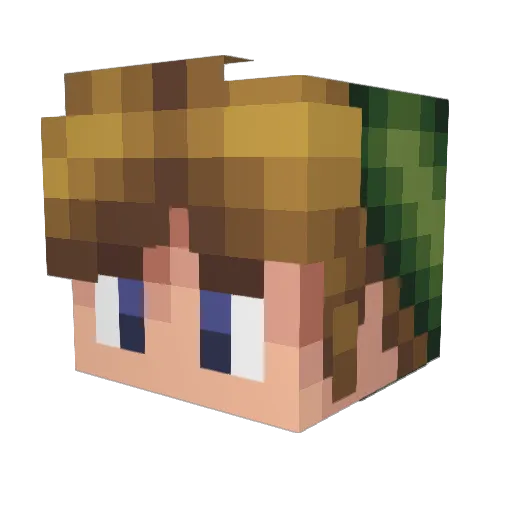 Seabass404 Minecraft avatar head, 3D render