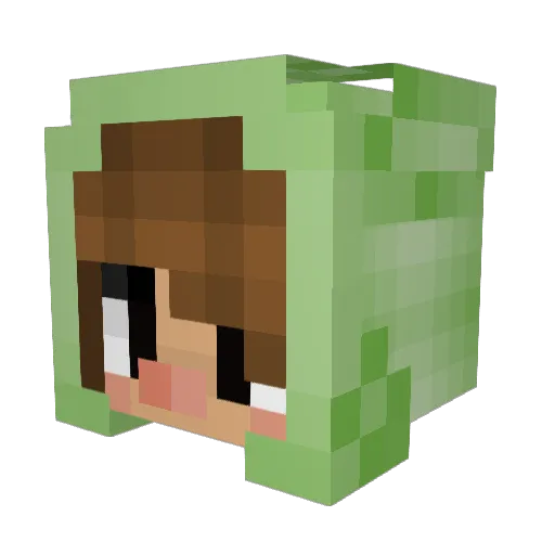 Seabassocho Minecraft avatar head, 3D render