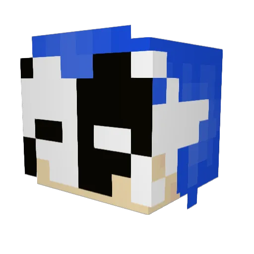 Seabow Minecraft avatar head, 3D render