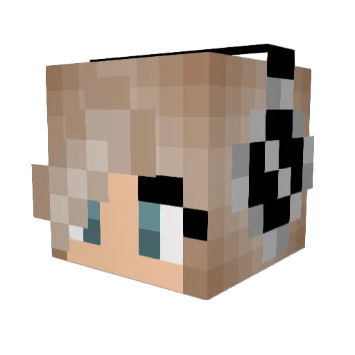 Seacat10 Minecraft avatar head, 3D render