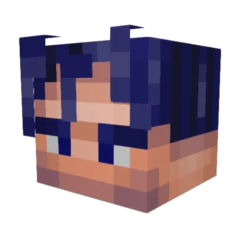 Seached0 Minecraft avatar head, 3D render