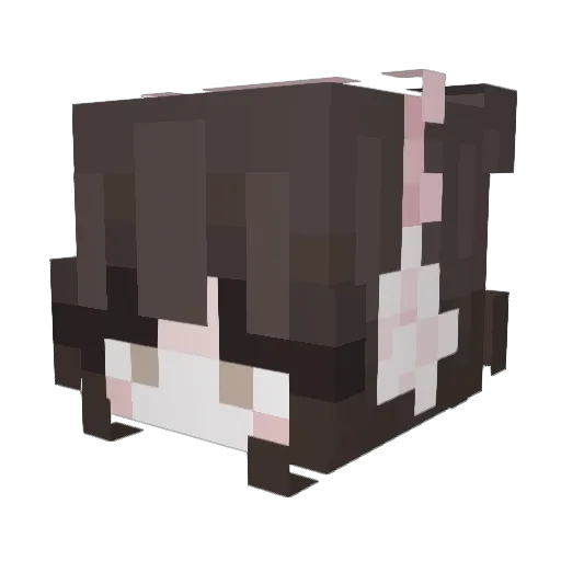Seacoast666 Minecraft avatar head, 3D render