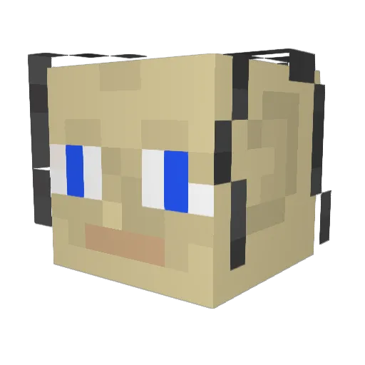 Seacoww Minecraft avatar head, 3D render