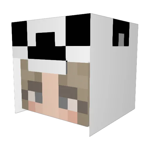 Seadres Minecraft avatar head, 3D render