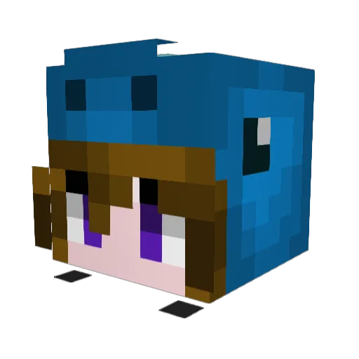 Seafy_Taggie Minecraft avatar head, 3D render