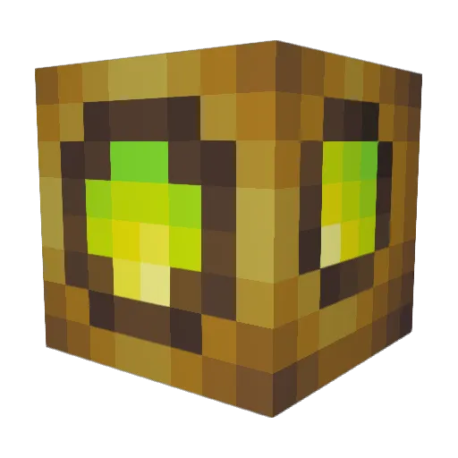 Seagem242 Minecraft avatar head, 3D render