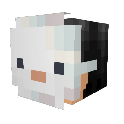 Seagenc24 Minecraft avatar head, 3D render