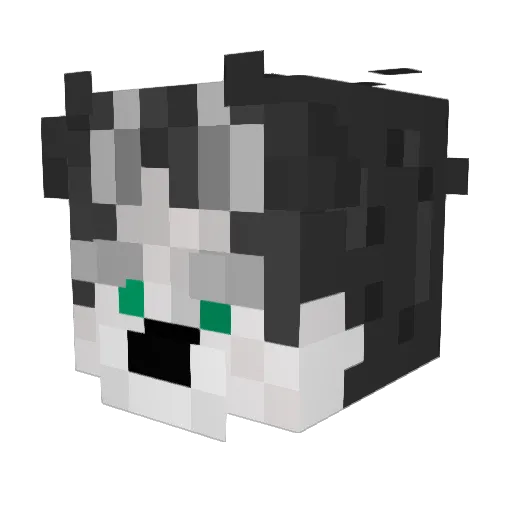 Seagerrr Minecraft avatar head, 3D render