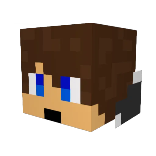 Seagul409 Minecraft avatar head, 3D render