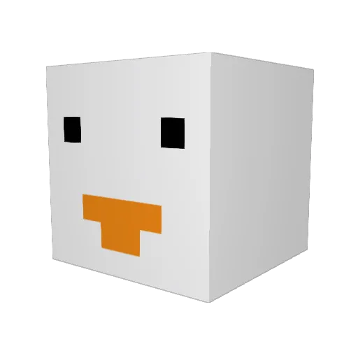 Seagullman0 Minecraft avatar head, 3D render