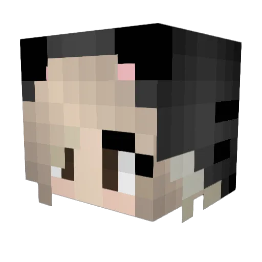 Seah Minecraft avatar head, 3D render