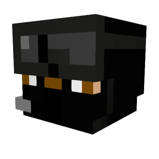 Seahawk25 Minecraft avatar head, 3D render