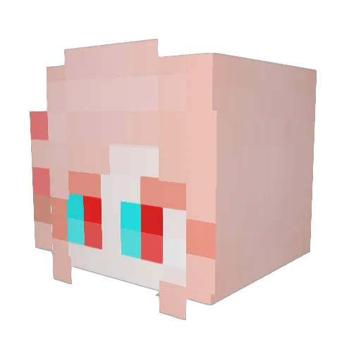 Seahorse101 Minecraft avatar head, 3D render