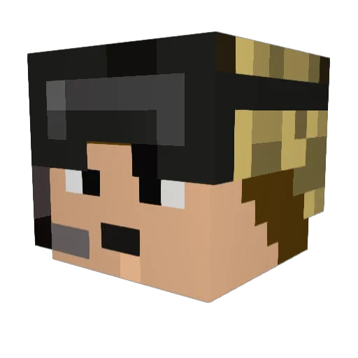 Seaking8 Minecraft avatar head, 3D render