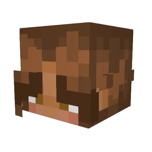 Seal03 Minecraft avatar head, 3D render