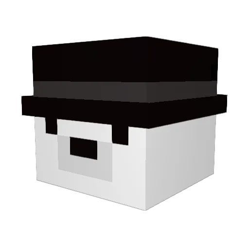 SealBeing Minecraft avatar head, 3D render