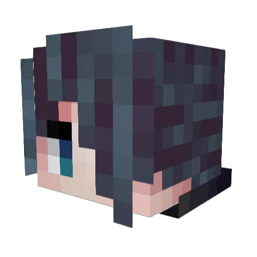SealDarkness Minecraft avatar head, 3D render