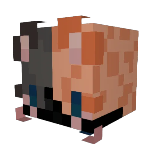 SealDragonn Minecraft avatar head, 3D render