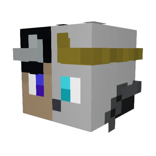 SealPrince99 Minecraft avatar head, 3D render