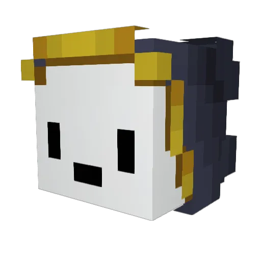 Sealator Minecraft avatar head, 3D render