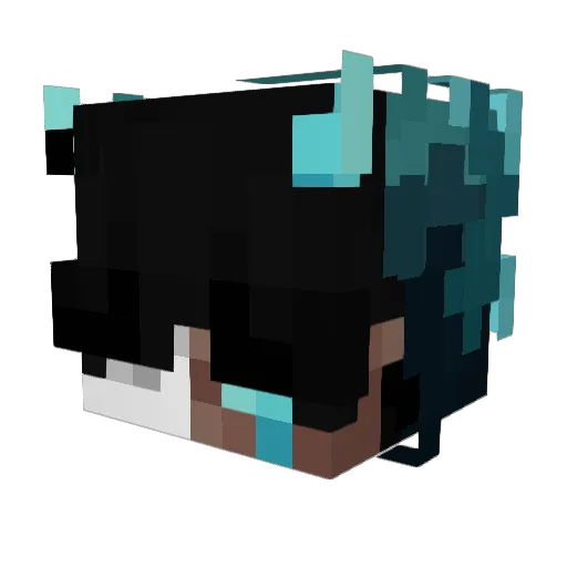 Sealbit Minecraft avatar head, 3D render