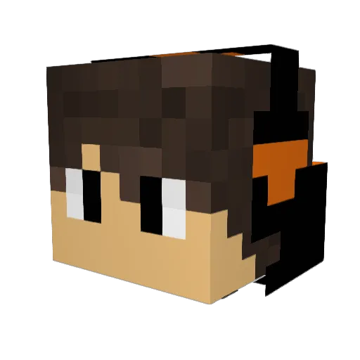 Sealfeed Minecraft avatar head, 3D render