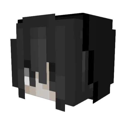 Sealinq Minecraft avatar head, 3D render