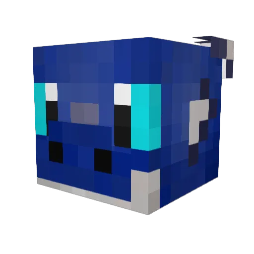 Seallyfella Minecraft avatar head, 3D render