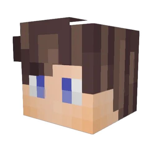 Sealmasquerade Minecraft avatar head, 3D render