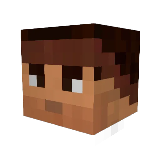 Seals_Are_Cool Minecraft avatar head, 3D render