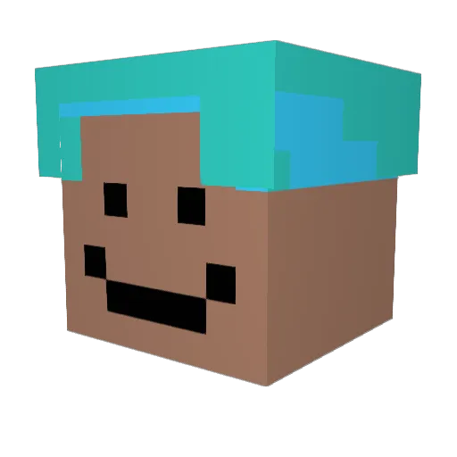 Sealsplayz Minecraft avatar head, 3D render