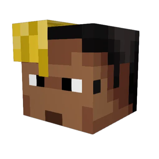 Sealteam_100 Minecraft avatar head, 3D render