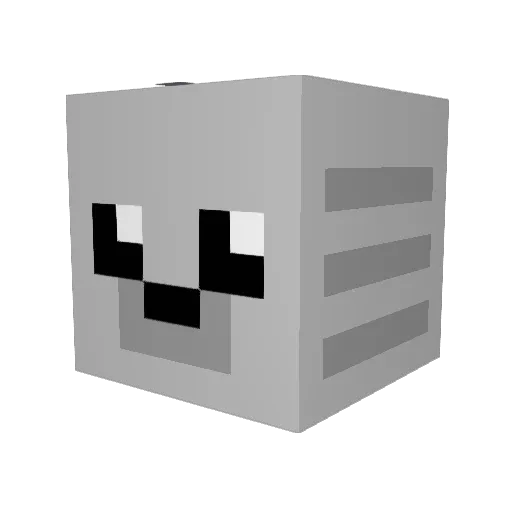 SealyBoi Minecraft avatar head, 3D render