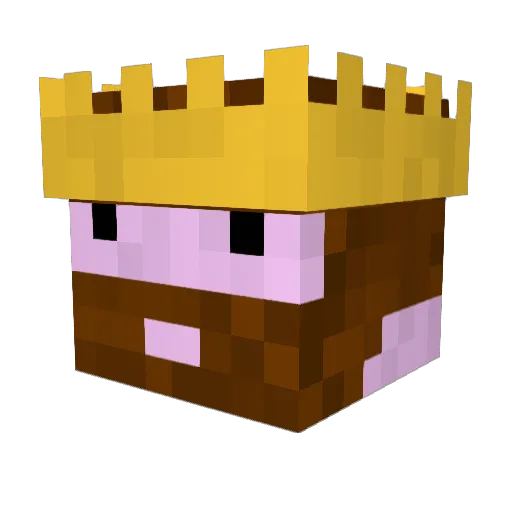 Seamus601 Minecraft avatar head, 3D render