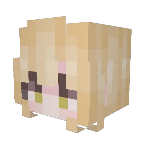SeanBunch Minecraft avatar head, 3D render
