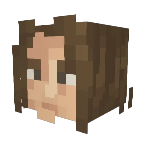 SeanCraftPlayz Minecraft avatar head, 3D render