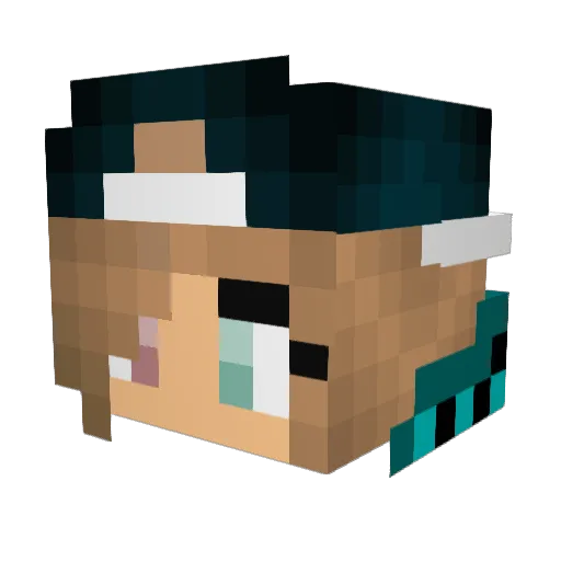 SeanDk124 Minecraft avatar head, 3D render