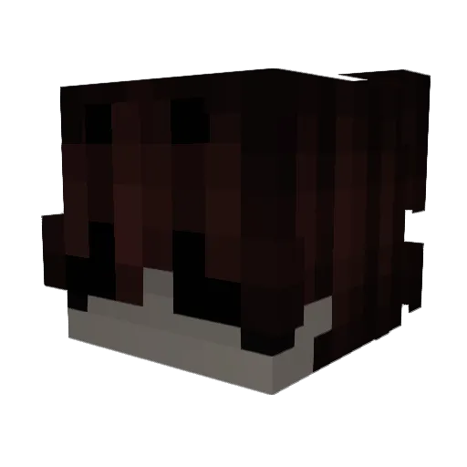 SeanJH14 Minecraft avatar head, 3D render