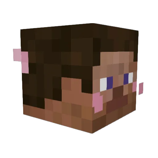 SeanKeith Minecraft avatar head, 3D render
