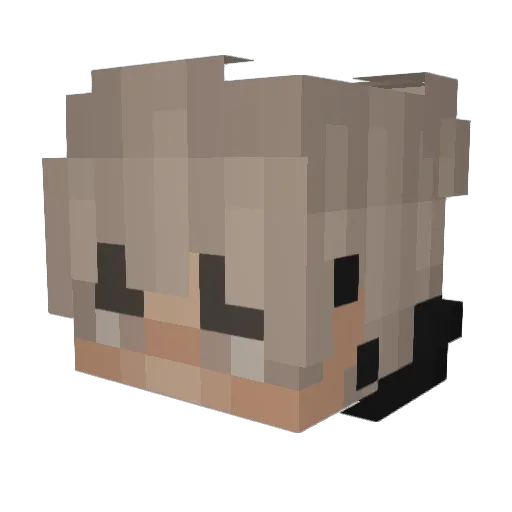 SeanSeanMG Minecraft avatar head, 3D render