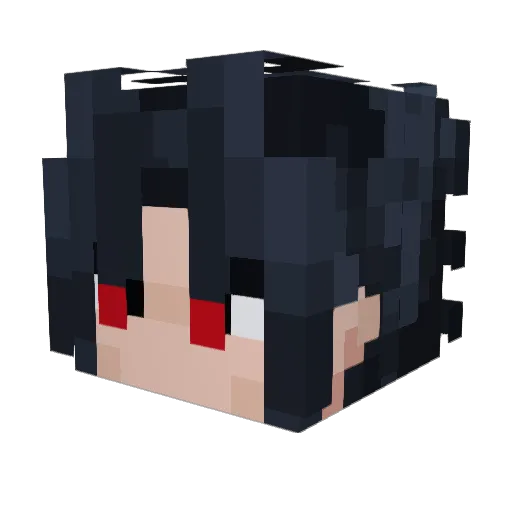 SeanTNK Minecraft avatar head, 3D render