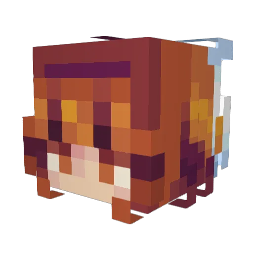 SeanTsai97 Minecraft avatar head, 3D render