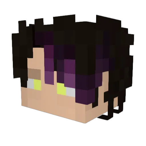 SeanWang819 Minecraft avatar head, 3D render